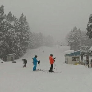 yӂ邳Ɣ[ŁznCp[{EXL[NO.1eqtgZbgyltg1+wtg1zy1366190z