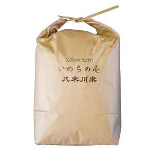 yӂ邳Ɣ[Łzŷ̈ 5kg ()/4.25kg :đzʍ͔| ؐ ̈y1424074z