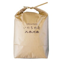 楽天市場】いのちの壱 10kgの通販