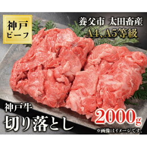 yӂ邳Ɣ[Łz_ˋ@؂藎Ƃ(350g/500g/800g/1200g/1500g/2000g)yzsnFzyG1443394z