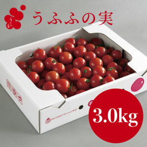 yӂ邳Ɣ[ŁzyYnzg}g(3.0kg)  ӂӂ̎ xt[cg}g@ACbNy퉷zyzsnFEkCEꌧzy1672592z