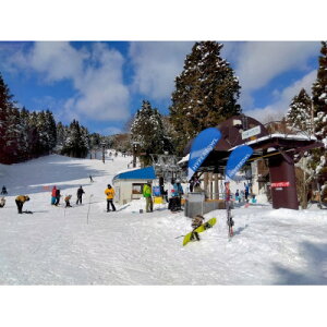 yӂ邳Ɣ[ŁznCp[{EXL[No.4ʃtgHtyl1+Hzy1694636z