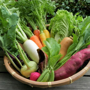 yӂ邳Ɣ[ŁzyŒցzy6`12zAn̏{͂!̂ꂽĖ؃ZbgS7yzsnFzy4075870z