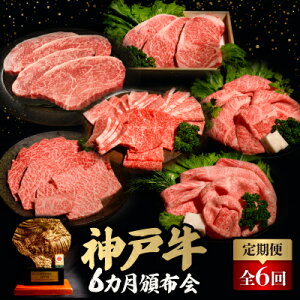 【ふるさと納税】【毎月定期便】神戸牛6ヶ月頒布会全6回【配送不可地域:離島】【4064678】