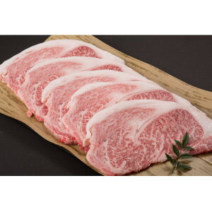 yӂ邳Ɣ[Łz_ˋ@[XXe[L(200g/400g/550g/1000g)yzsnFzyG1441368z