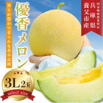 楽天市場】優香 メロンの通販