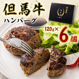 【ふるさと納税】但馬牛ハンバーグ【配送不可地域：離島】【1448811】