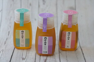 【ふるさと納税】丹波の蜂蜜 300g×1個(ボトル)