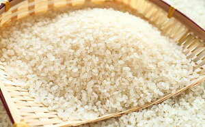 yӂ邳Ɣ[Łz܂邫̒OgЂݕāu~L[NC[v10kg