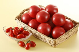 【ふるさと納税】完熟たんばトマトの詰合せ　約2.7kg入り