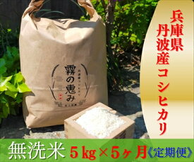 【ふるさと納税】丹波産コシヒカリ 5kg×5ヶ月
