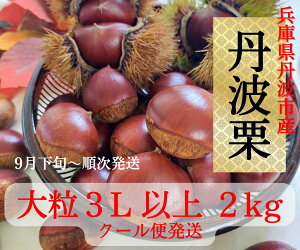 yӂ邳Ɣ[ŁzOgI@3Lȏ@2kg