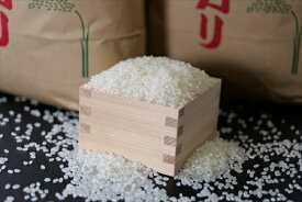 【ふるさと納税】特別栽培米 白米 5kg x 1袋