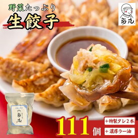 【ふるさと納税】冷凍生餃子 111個セット 野菜しい餃子 助丸 特製タレ2本＋濃厚辣油付き 国産豚肉100％ 特別栽培野菜 使用 ギョーザ ぎょうざ丹波産 野菜餃子 兵庫県 丹波市