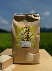 【ふるさと納税】特別栽培米 丹波コシヒカリ 5kg