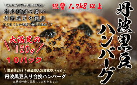 【ふるさと納税】丹波黒豆ハンバーグ　10パック　温めるだけ　手軽に調理　国産ハンバーグ