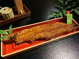 【ふるさと納税】うなぎ辻判　国産鰻炭火蒲焼き　1尾