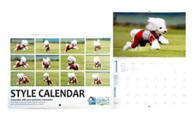 【ふるさと納税】Bコース　飛行犬撮影カレンダーセット