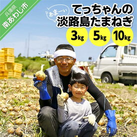 【ふるさと納税】てっちゃんの淡路島たまねぎ【3kg・5kg・10kg】