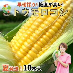yӂ邳Ɣ[Łzyߘa8NYẑgERV10{Zbg@z6{`7 Ƃ낱 {  s\ ̂ ǂ ̂  Yn Â Ԍ ʌ 10{ 