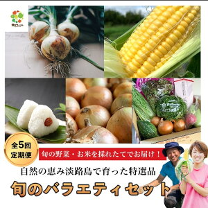 yӂ邳Ɣ[Łzyt@[zyS5ցz ґI{̃oGeBZbg
