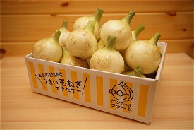 楽天市場 新玉ねぎの通販 楽天市場 新玉ねぎの通販