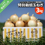 【ケンちゃんファーム】＼うまい玉ねぎできたでー／特別栽培 玉ねぎ 3kg ～ひょうご安心ブランド認証取得～ 4000円 たまねぎ 国産 野菜 オニオン サラダ スープ ハンバーグ カレー 淡路島 送料無料 お買い物マラソン 4000 ポッキリ