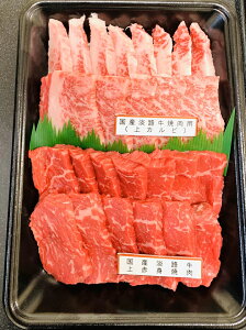 【ふるさと納税】 ふるさと納税 焼肉 国産淡路牛上赤身焼肉×上カルビ 500g