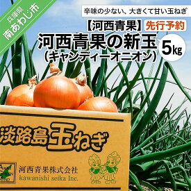 【ふるさと納税】【先行予約】河西青果の新玉（キャンディーオニオン）5kg　◆配送5月初旬～6月末