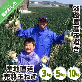 【ふるさと納税】淡路島産 玉ねぎ【3kg・5kg・10kg】　◆配送5月上旬〜