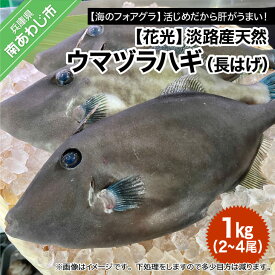 【ふるさと納税】【花光】淡路産天然ウマヅラハギ（長はげ）1kg