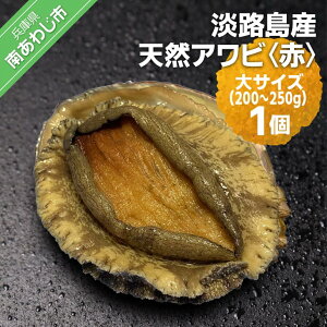 yӂ邳Ɣ[Łz ӂ邳Ɣ[ bbq yԌzWHYVRAriԁjTCY1