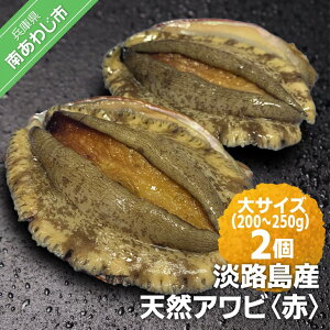 yӂ邳Ɣ[Łz ӂ邳Ɣ[ bbq yԌzWHYVRAriԁjTCY2