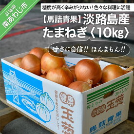 【ふるさと納税】【淡路島の青果屋】淡路島産たまねぎ10kg