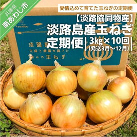 【ふるさと納税】淡路島産玉ねぎ 定期便　3kg × 10回（発送3月〜12月）