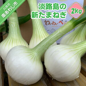 yӂ邳Ɣ[Łzy킢킢xW^uzt̖KIWH̐V܂˂i2kgj ӂ邳Ɣ[ 