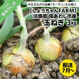 【ふるさと納税】【しょうちゃんFARM】淡路島　南あわじ市産玉ねぎ3kg　◆配送7月〜