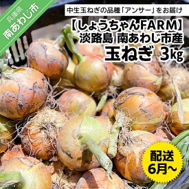 【ふるさと納税】【しょうちゃんFARM】淡路島　南あわじ市産玉ねぎ3kg　◆配送6月〜