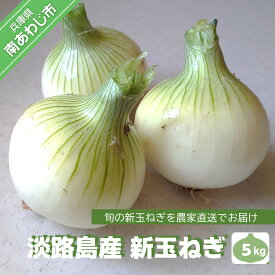 【ふるさと納税】【前田青果】淡路島産 新玉ねぎ5kg　◆配送4月末頃〜