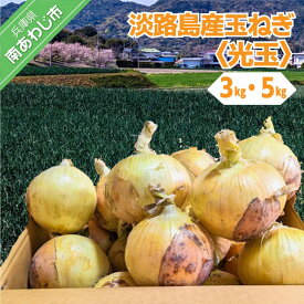【ふるさと納税】淡路島産玉ねぎ《光玉》 【3kg・5kg】