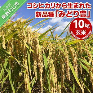 yӂ邳Ɣ[Łzߘa7NYEāw݂ǂLx10kg10{甭