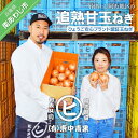 淡路島産玉葱 うずしお追熟甘玉ねぎ【3kg・5kg・10kg】
