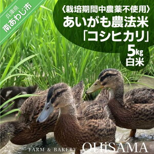 �y�ӂ邳�Ɣ[�Łz�ߘa7�N�Y�@�R�V�q�J���@5kg�@���č͔|���Ԓ��_��s�g�p�@���������_�@��