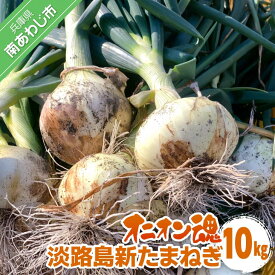 【ふるさと納税】【オニオン魂】 淡路島新たまねぎ　10kg　◆配送3月上旬～