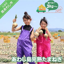 【ふるさと納税】あわじ島完熟たまねぎ【3kg・5kg・10kg】
