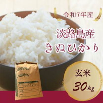 楽天市場】兵庫県 キヌヒカリ（総重量（穀物）30.0 ～ 39.9kg）（米 