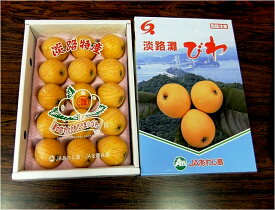 【ふるさと納税】【期間限定・数量限定】淡路島灘びわ ◆配送6月中旬～
