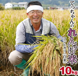 【ふるさと納税】新米2023年収穫 南あわじ市松帆産 てっちゃんのれんげ米コシヒカリ 10kg （白米）