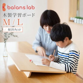 【ふるさと納税】イージー ライティング ボード ＜M・Lサイズ＞ 猫背 姿勢 矯正 学習スペース リビング 学習 学習机 勉強机 学習台 家具 子ども机 子ども用 子供 机 学習デスク インテリア 兵庫県 朝来市 ※着日指定不可