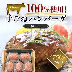 【ふるさと納税】【神戸牛】 100%使用！手ごねハンバーグ5個セット (150g×5個) ハンバーグ 黒毛和牛 国産和牛 ブランド和牛 牛肉 牛肉ハンバーグ 牛ハンバーグ 但馬 兵庫 てごね 手ごね おかず お弁当 人気 セット 冷凍 兵庫県 朝来市 AS1BC14